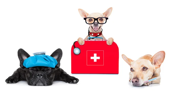 Médico médico perros enfermos y enfermos — Foto de Stock