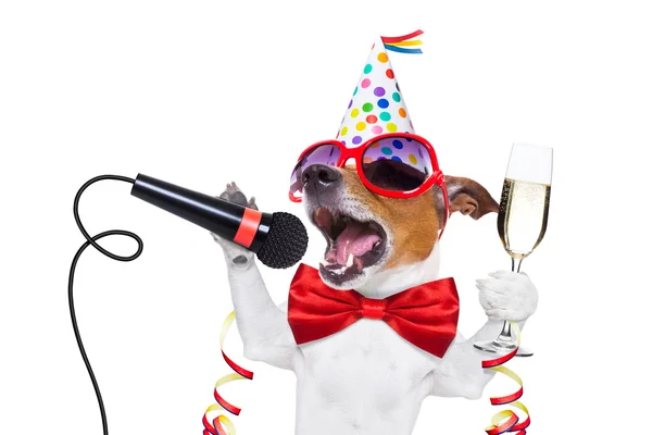 Happy new year dog — Stock Image Happy new year dog Stock Photo