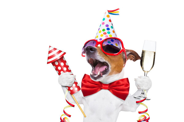 Feliz cumpleaños perro — Imagen de stock Feliz cumpleaños perro Imágenes De Stock Sin Royalties Gratis