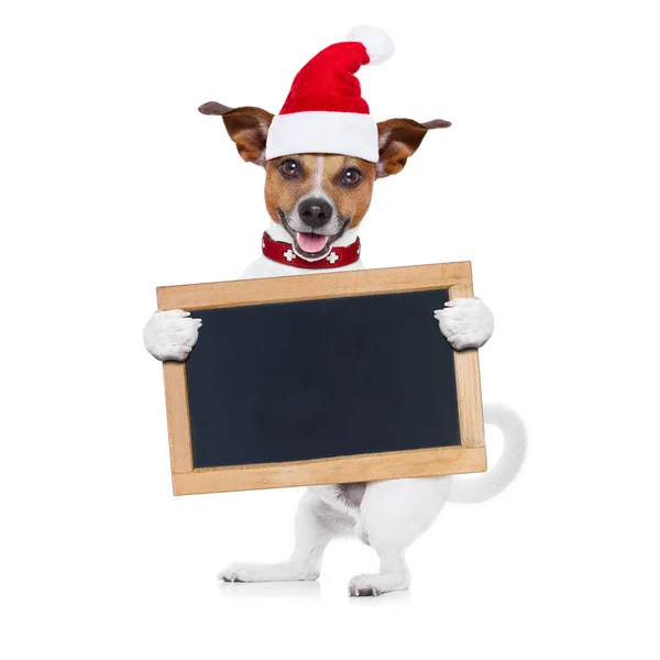 Kerstmis hond als santa claus — Stockfoto