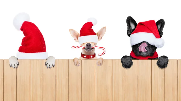 Noel Baba köpeklerin satır — Stok fotoğraf
