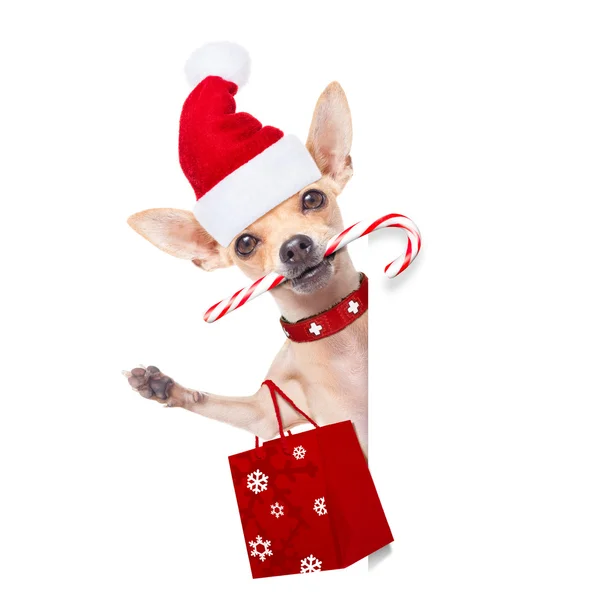 Christmas dog as  santa claus — Stock Photo, Image