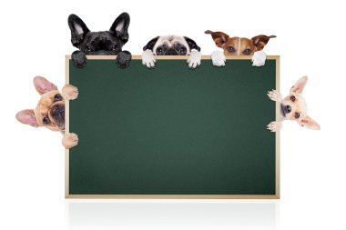 Köpekler afişini satırı