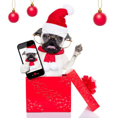 Noel sürpriz selfie köpek