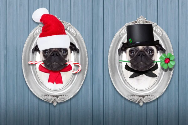 Perro de Navidad como santa claus y deshollinador —  Fotos de Stock