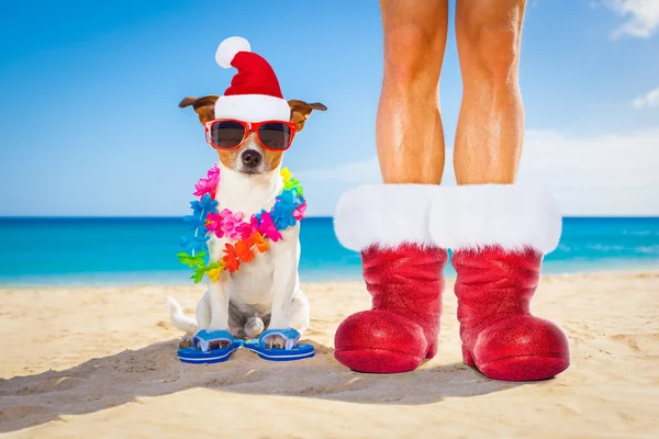 Psa i właściciela jako santa claus na Boże Narodzenie na plaży — Zdjęcie stockowe