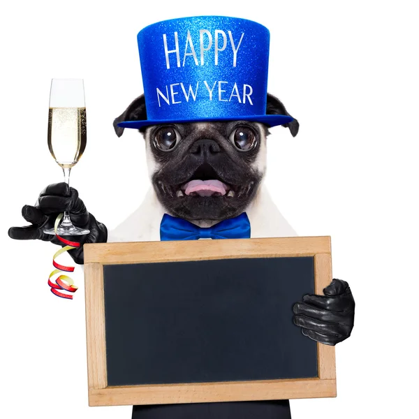 Happy new year dog — Stock Photo, Image