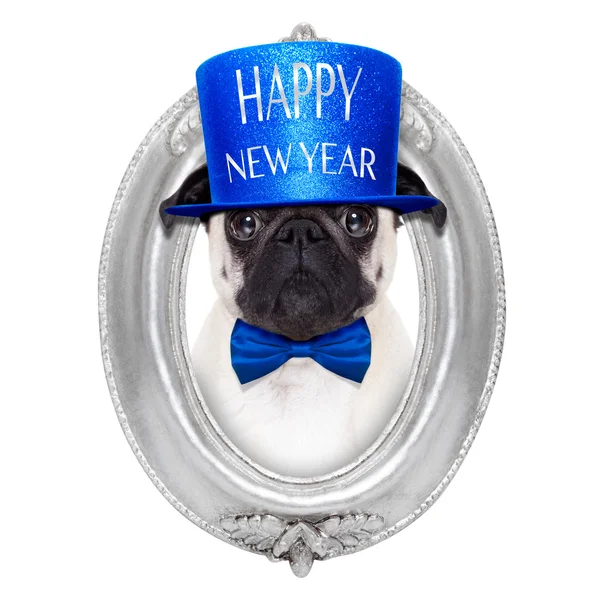 Happy new year dog — Stock Photo, Image