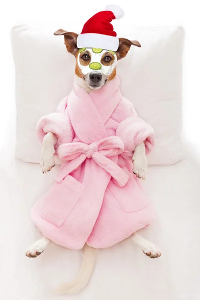 Dog spa wellness on christmas as santa claus — Stock Image Dog spa wellness on christmas as santa claus Stock Photo