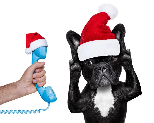 Julemanden claus hund lytter til telefonen - Stock-foto