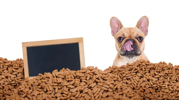 Cão faminto em uma chuva de comida — Fotografia de Stock