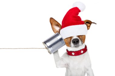 köpek telefon 