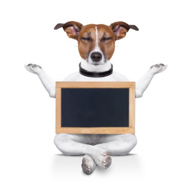Yoga köpek rahatlatıcı