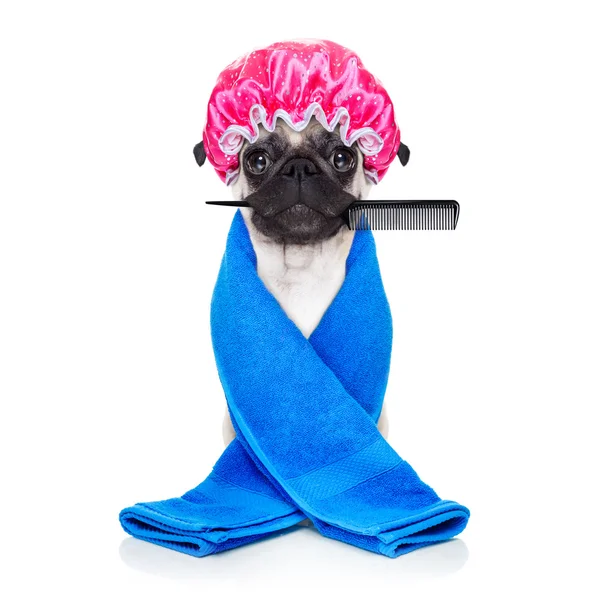 Yoga dog groomer hairdresser — Stock Photo, Image