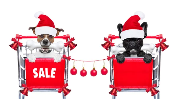 Christmas sale dogs — Stock Image Christmas sale dogs Stock Photo