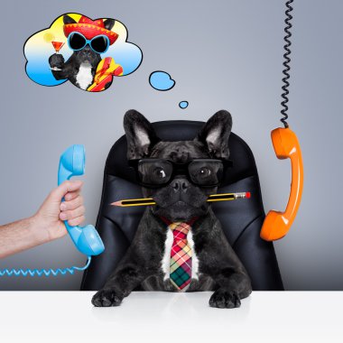 Office çalışan patron köpek 