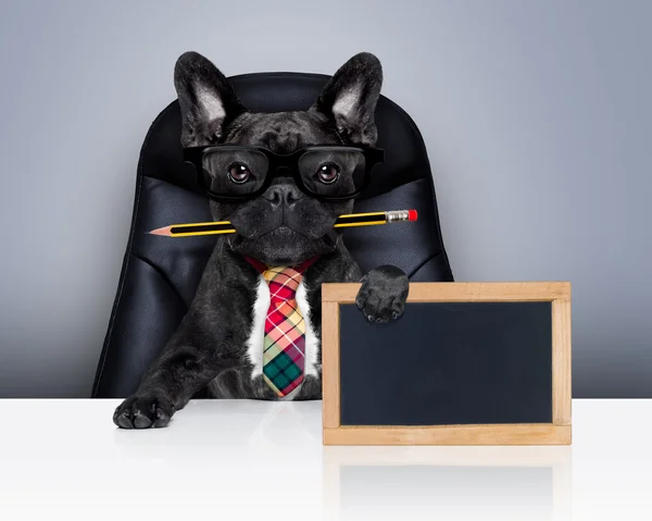 Trabalhador de escritório chefe cão — Fotografia de Stock