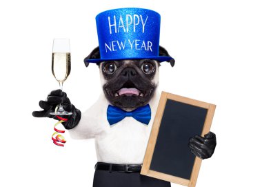 Mutlu yıllar köpek.