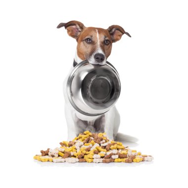 honger hond etensbak