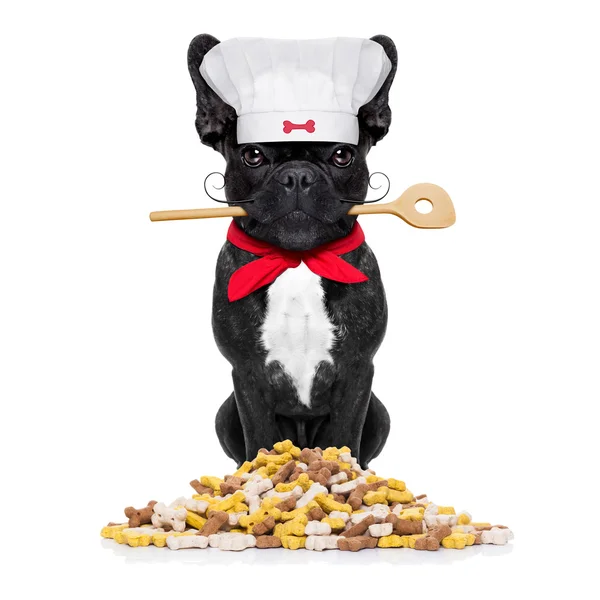 Chef-kok hond — Stockfoto