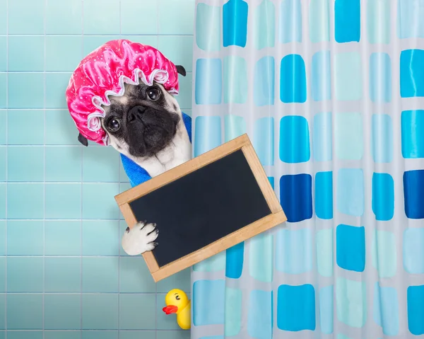 Perro en la ducha — Foto de Stock