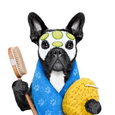 köpek spa sağlık