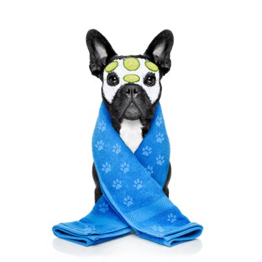 köpek spa sağlık