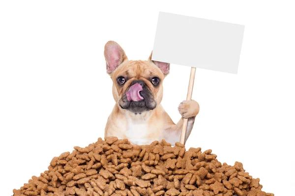 Hungry dog banner — Stock Photo, Image