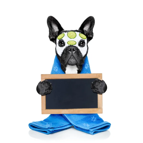 Dog spa wellness — Stock Photo, Image