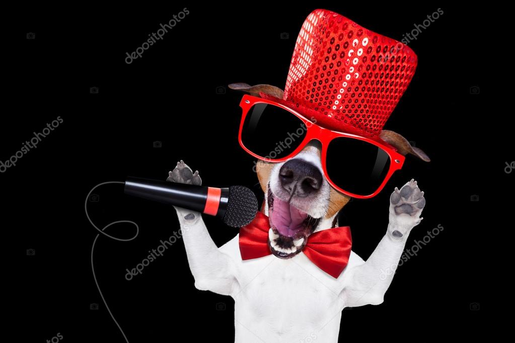 Karaoke singing dog — Stock Photo © damedeeso #96825198