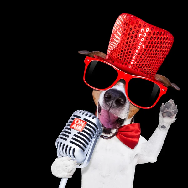 Karaoke zingen hond — Stockfoto