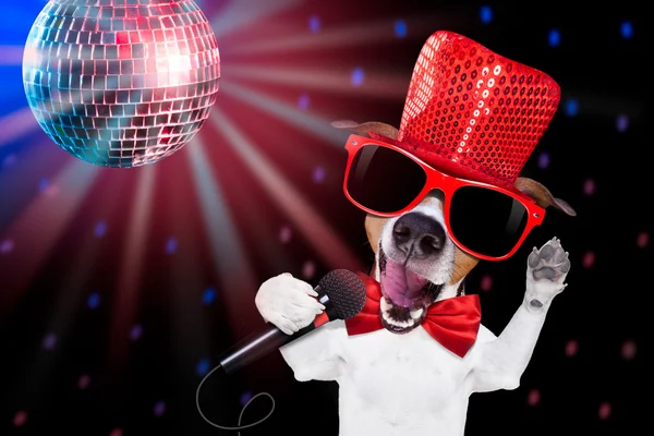 Karaoke sjungande hund — Stockfoto