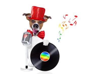 köpek şarkı mikrofon ile