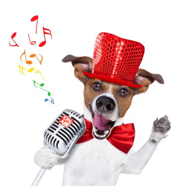 köpek şarkı mikrofon ile