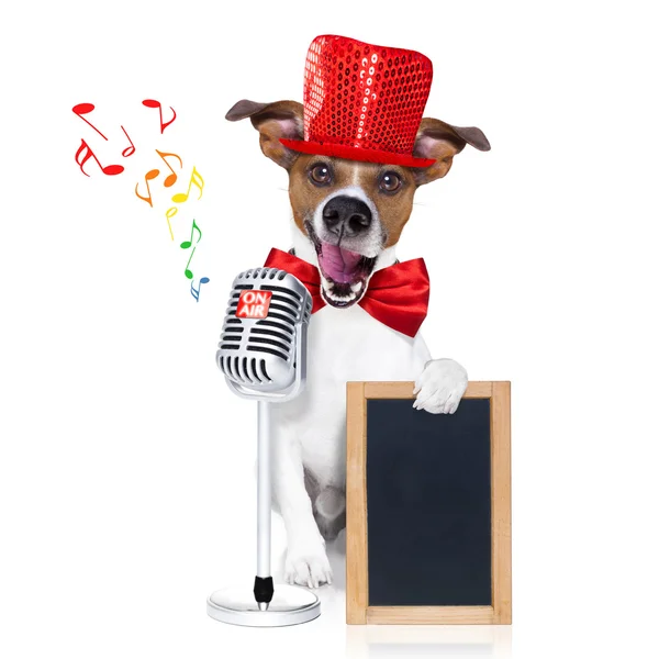 Dog singing with microphone — Stock Photo, Image