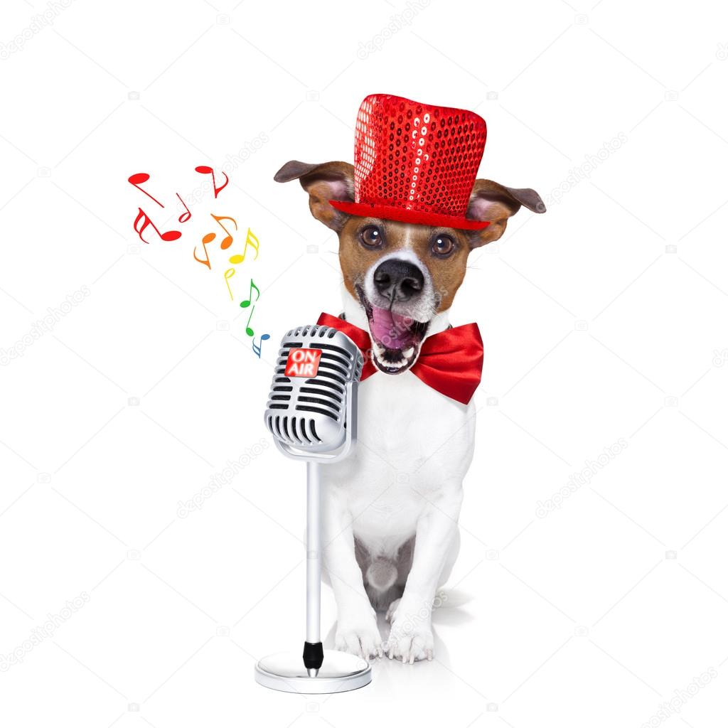 dog singing with microphone