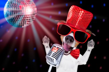 Karaoke şarkı köpek