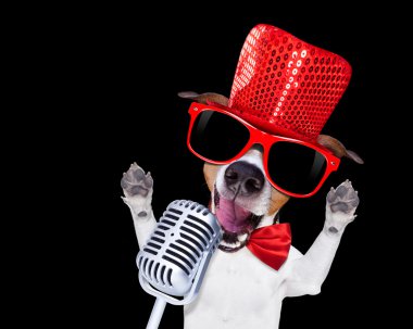 Karaoke şarkı köpek