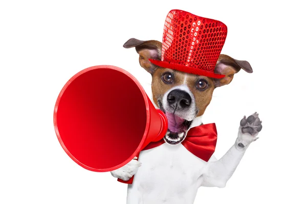 Dog sale megaphone — Stock Photo, Image