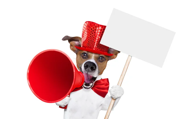 Dog sale megaphone Royalty Free Stock Photos