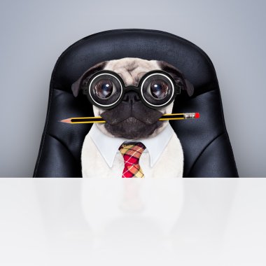 Office çalışan patron köpek 