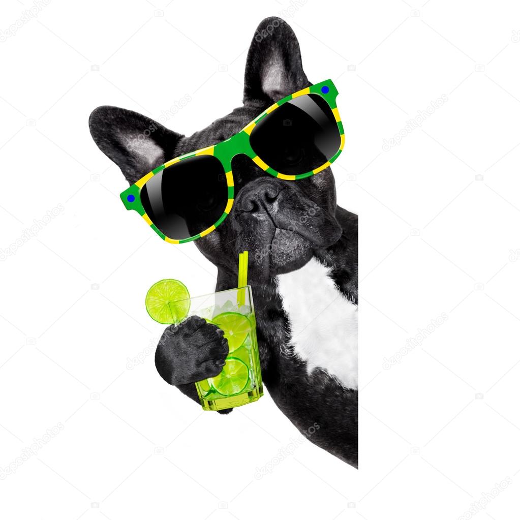 summer cokctail dog