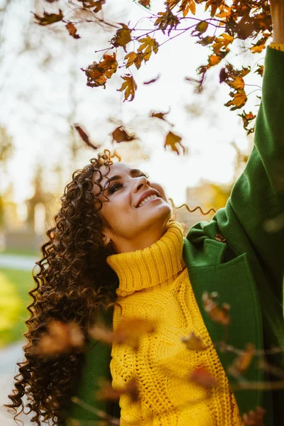 Un día soleado brillante en el parque de otoño hermosa morena con una hermosa sonrisa octating hermosos dientes se extiende de la mano detrás de una rama de arce. Vestido con un suéter amarillo brillante y un abrigo verde — Foto de Stock