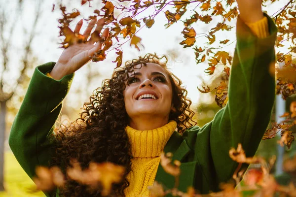 Mooi meisje met een zonnige glimlach opgeheven haar hoofd en geplukt met haar handen herfst gele bladeren van een boom in het park — Stockfoto