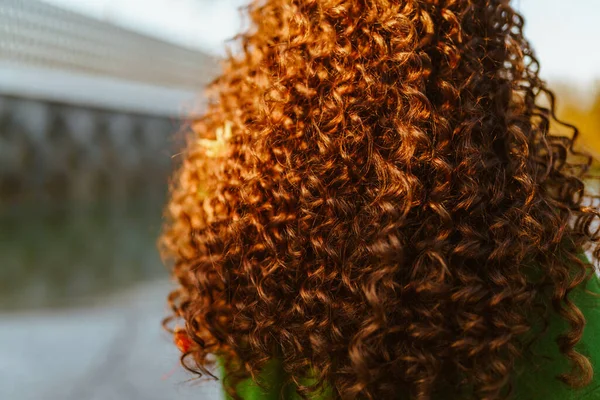 Cheveux bruns de luxe frisés en petites boucles réparties sur le dos et les épaules du modèle dans le parc — Photo