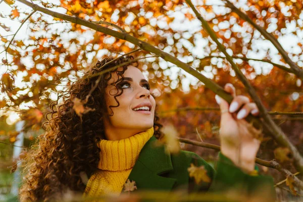 Un rapido sguardo attento di occhi maliziosi e un bel sorriso dai denti bianchi sul viso di una bruna riccia in abiti luminosi sullo sfondo di foglie cremisi di un albero del parco — Foto Stock