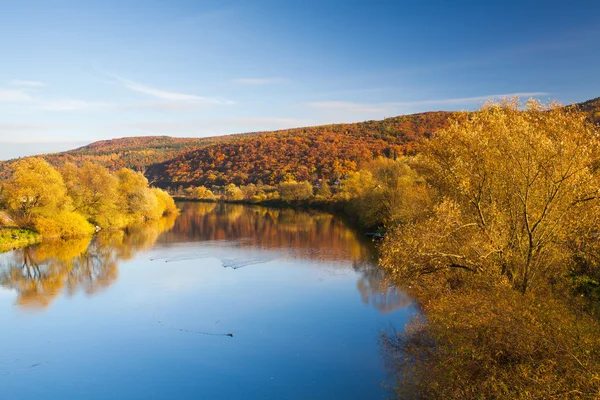 Berounka 川の近くの秋の風景 — ストック写真