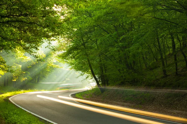 Velocità - mattina sulla strada in foresta — Foto Stock