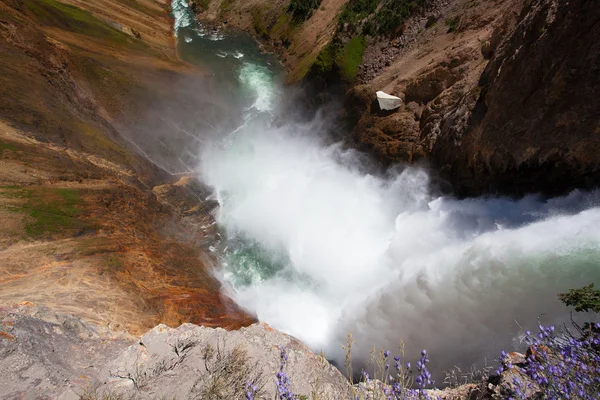 Die berühmten niedrigeren Wasserfälle im Yellowstone Nationalpark — Stockfoto