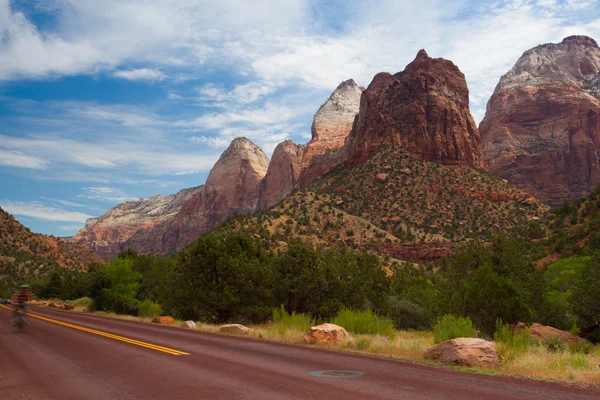 Strada rossa nel Parco Nazionale di Zion, USA — Foto Stock